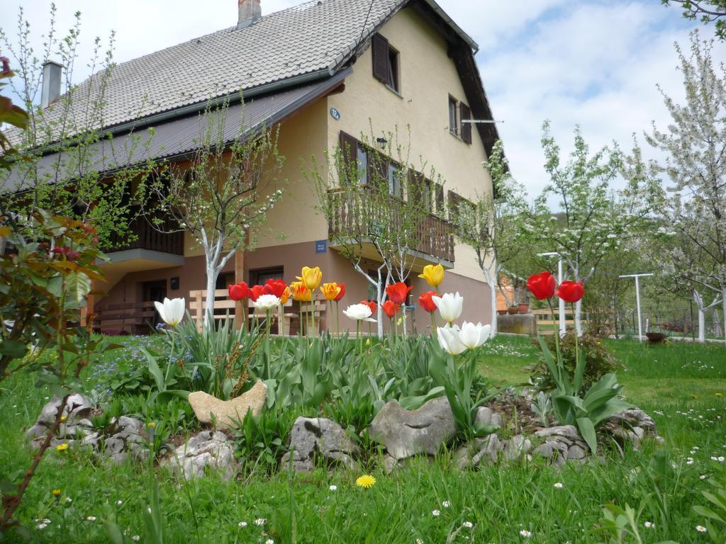 Guesthouse Anka ปลิตวิตซาเซโล ภายนอก รูปภาพ